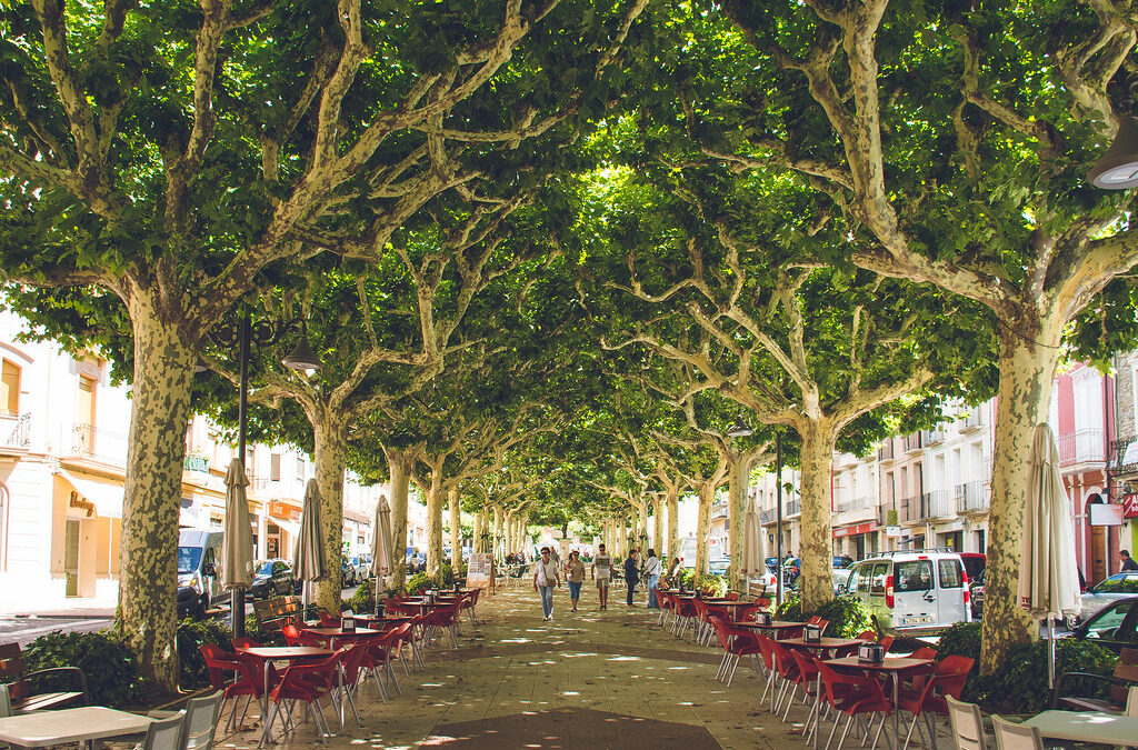 A Family Holiday in Spain Is GCSE Spanish Speaking Practice — If You Do These 10 Things
